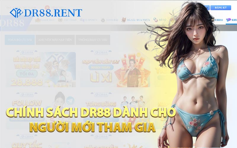 Chính Sách DR88 Dành Cho Người Mới Tham Gia