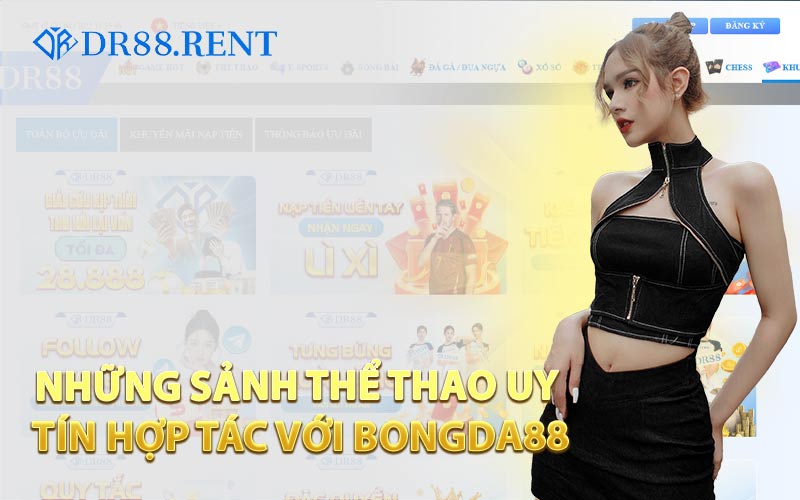 Những Sảnh Thể Thao Uy Tín Hợp Tác Với Bongda88