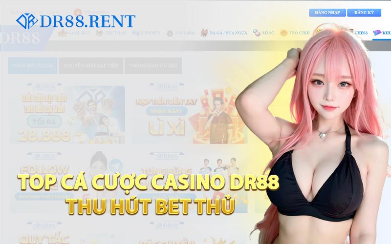 Top Cá Cược Casino DR88 Thu Hút Bet Thủ